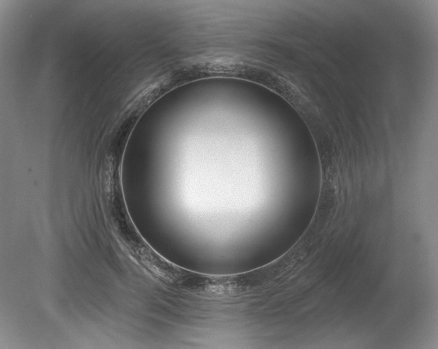 X0000079580744200612081535
