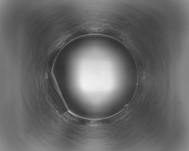 X0000079580746200612081535