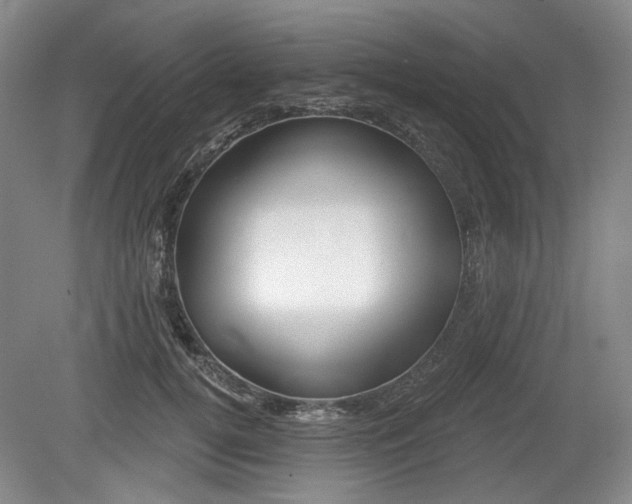 X0000079580752200612081535