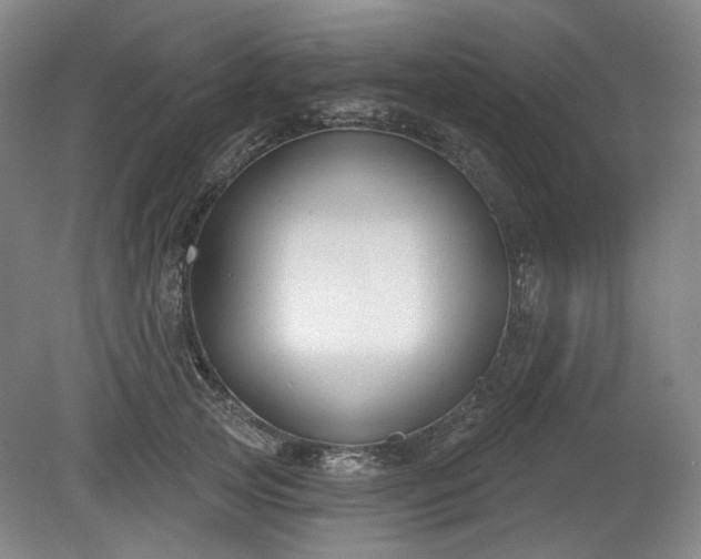 X0000079580753200612081535