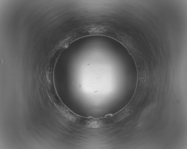 X0000079580755200612081535