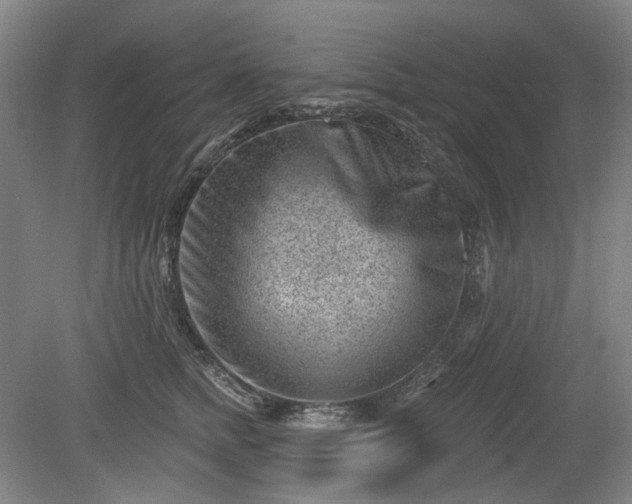 X0000079580758200612081535