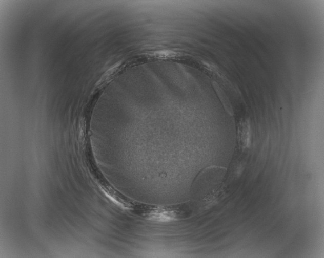 X0000079580760200612081535