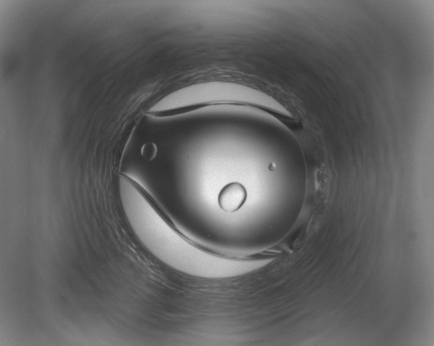 X0000079580762200612081535