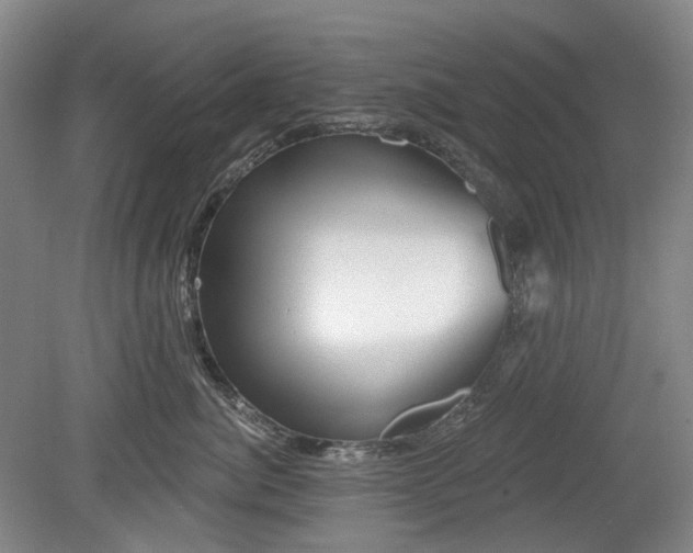 X0000079580764200612081535