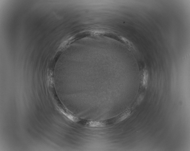 X0000079580766200612081535
