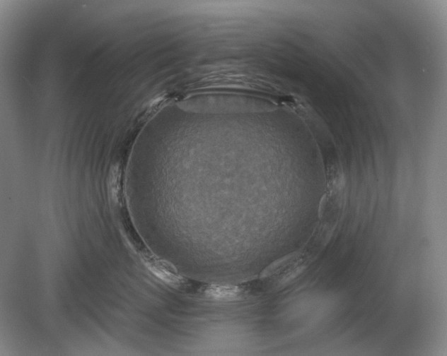 X0000079580767200612081535