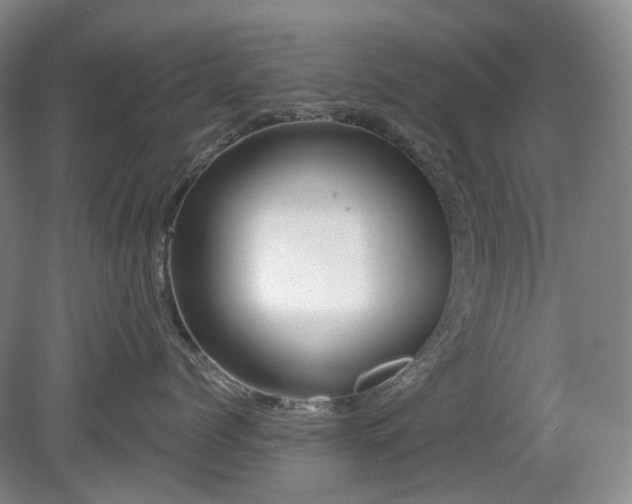 X0000079580768200612081535