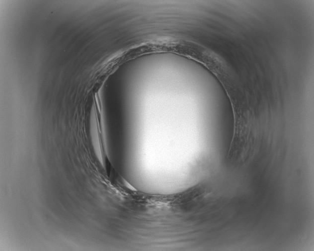 X0000079580773200612081534