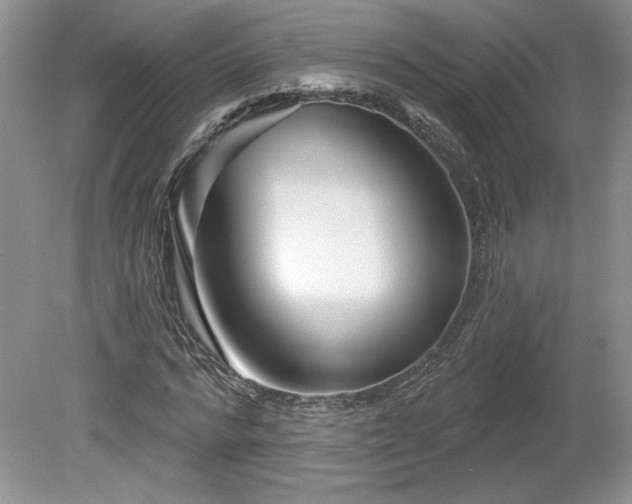 X0000079580776200612081534