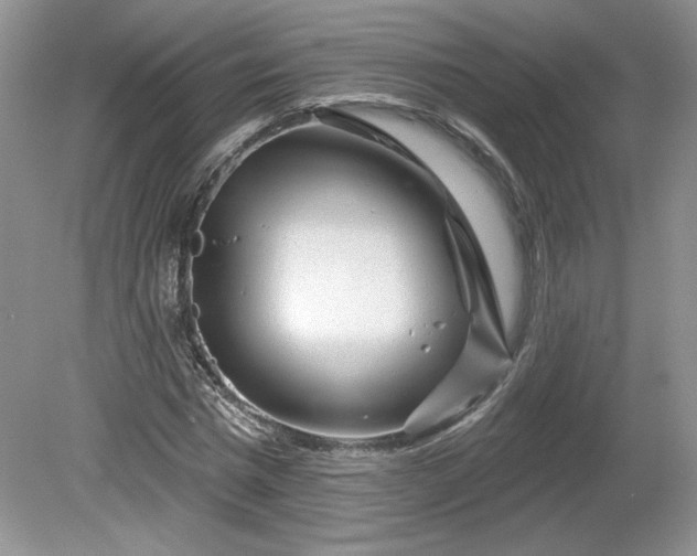 X0000079580777200612081534