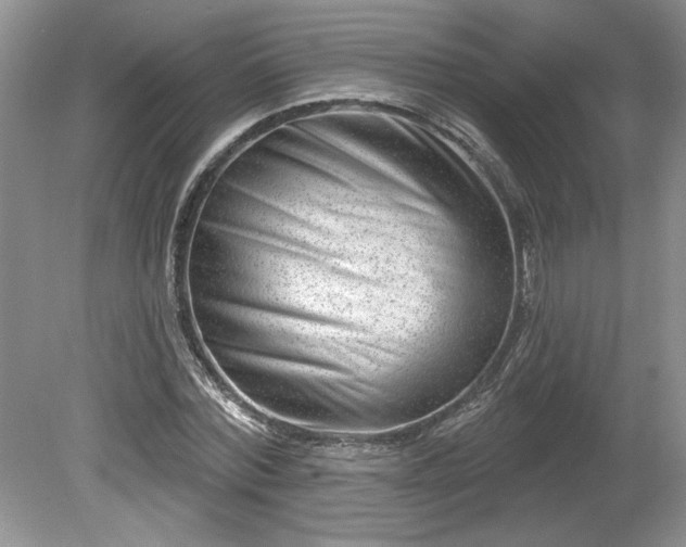 X0000079580780200612081534