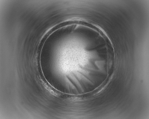 X0000079580783200612081534