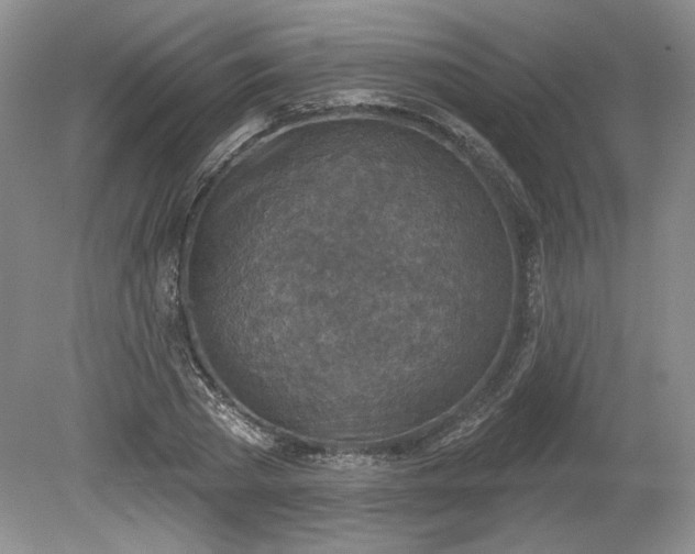 X0000079580785200612081534