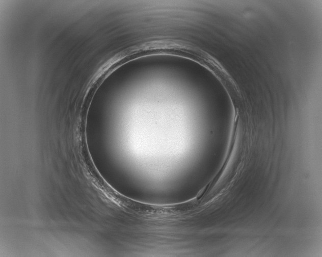 X0000079580786200612081534