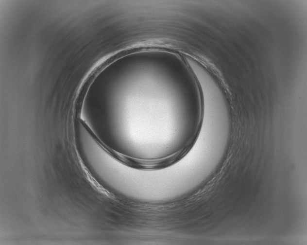 X0000079580792200612081534