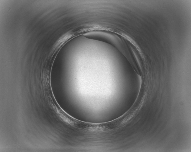X0000079580793200612081534