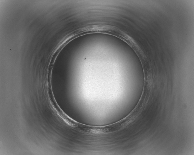 X0000079580794200612081534