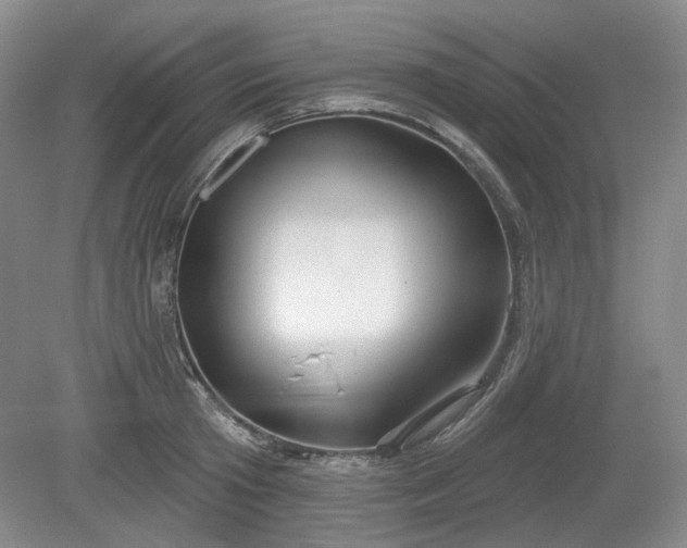 X0000079580801200612081534