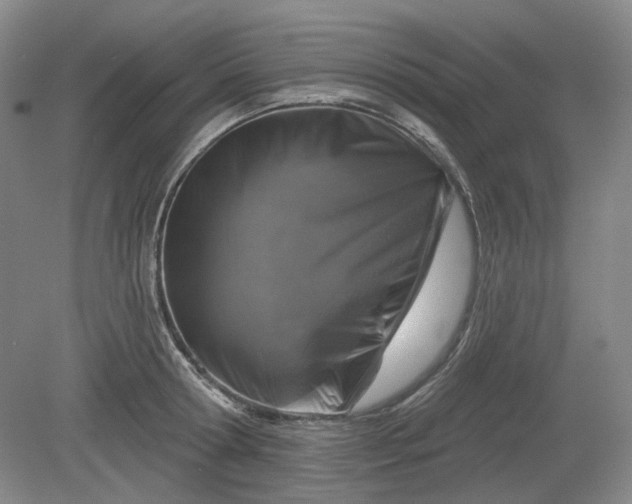 X0000079580802200612081534