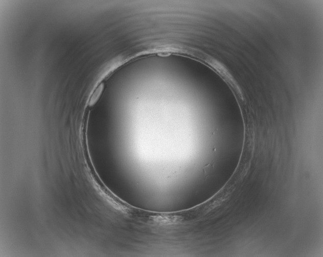 X0000079580805200612081534