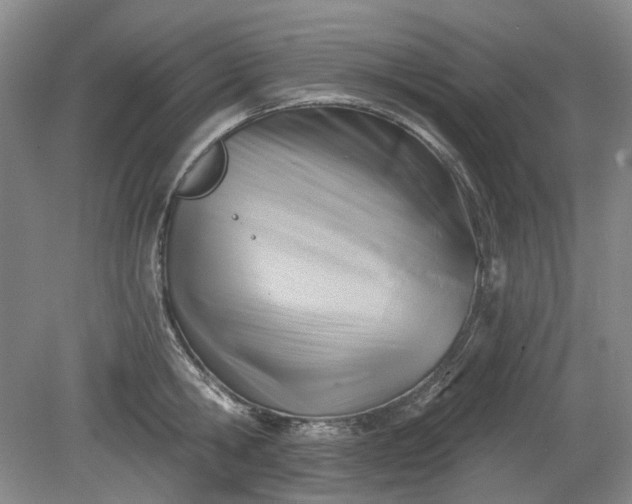 X0000079580806200612081534