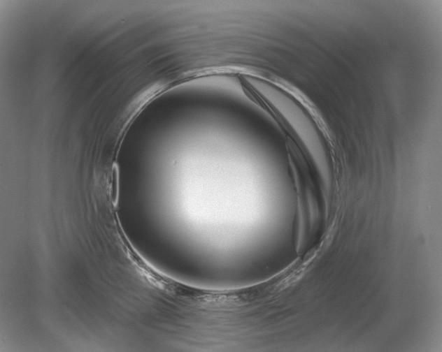 X0000079580809200612081534
