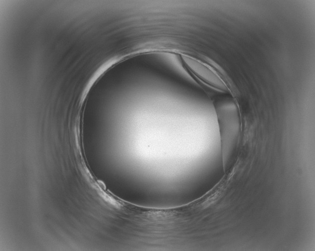 X0000079580812200612081534