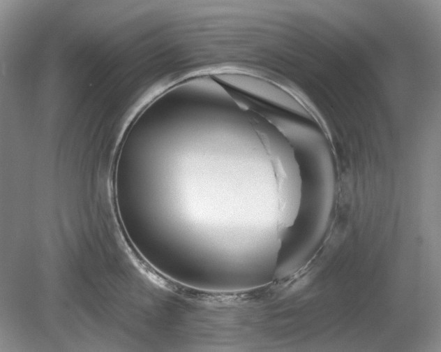 X0000079580813200612081534