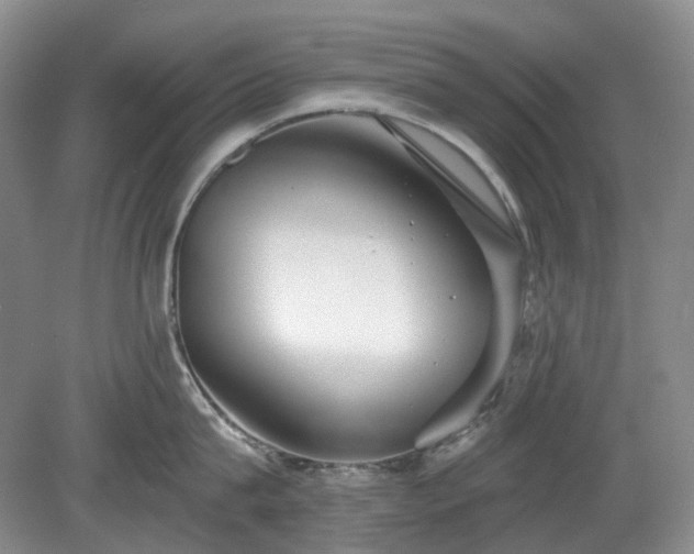 X0000079580815200612081534