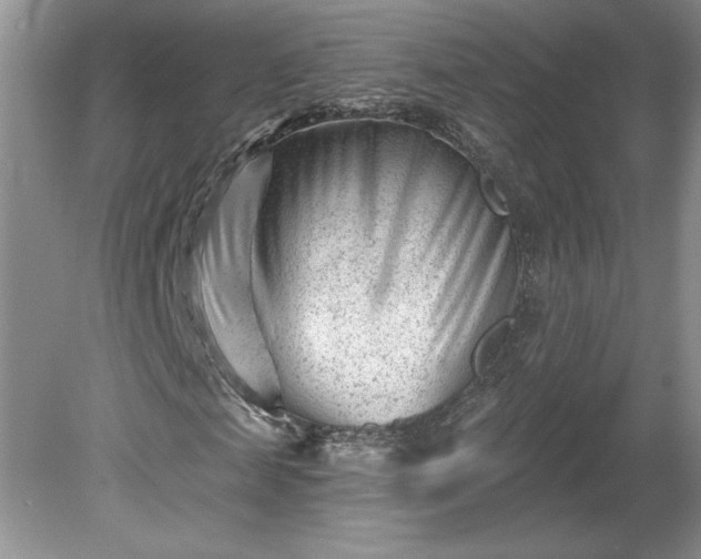 X0000079580817200612081533