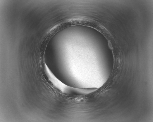 X0000079580822200612081533