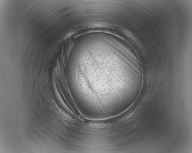 X0000079580825200612081533