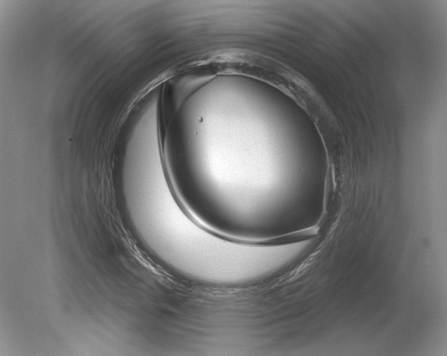 X0000079580826200612081533