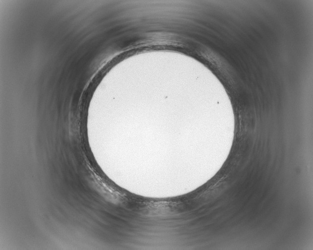 X0000079580828200612081533