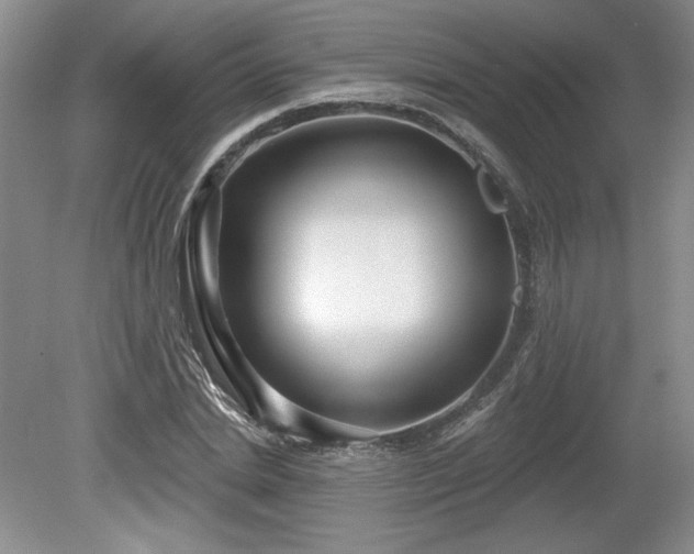X0000079580830200612081533