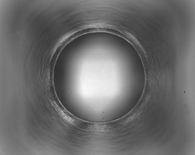 X0000079580831200612081533