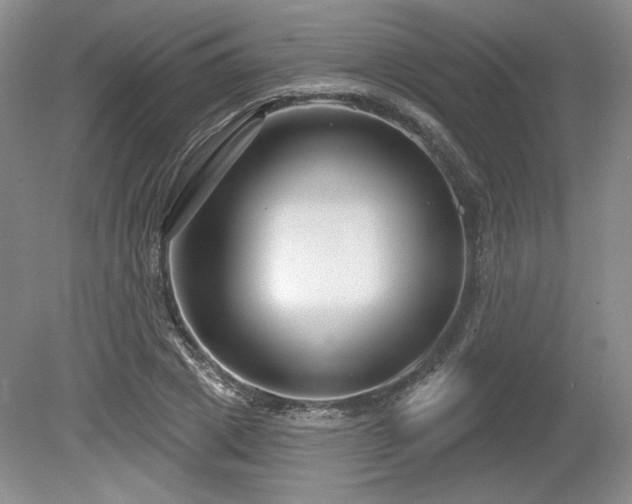 X0000079580833200612081533