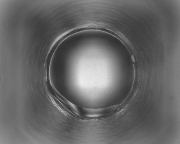 X0000079580838200612081533