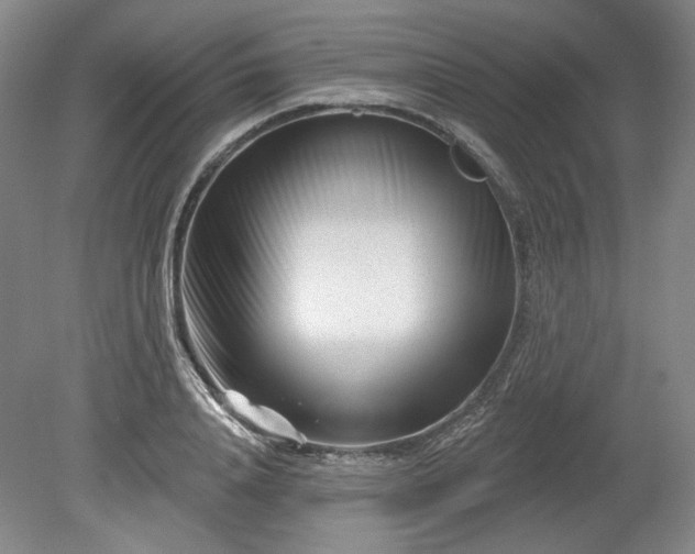 X0000079580840200612081533