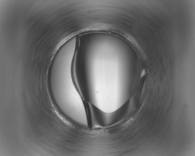 X0000079580842200612081533