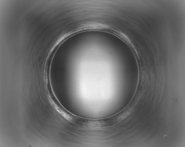 X0000079580843200612081533