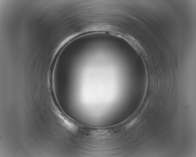X0000079580846200612081533