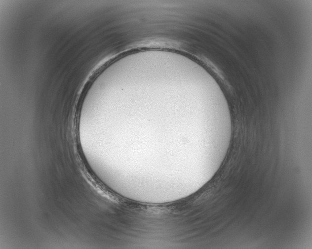 X0000079580848200612081533