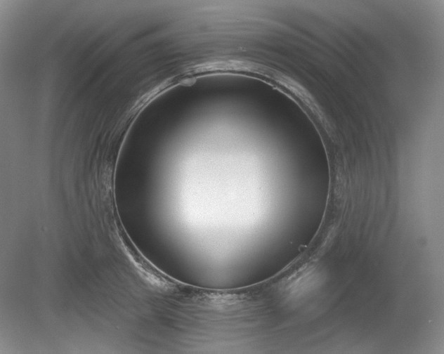 X0000079580849200612081533