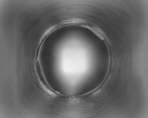 X0000079580850200612081533