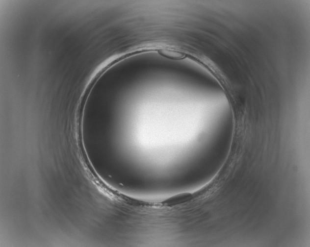 X0000079580854200612081533