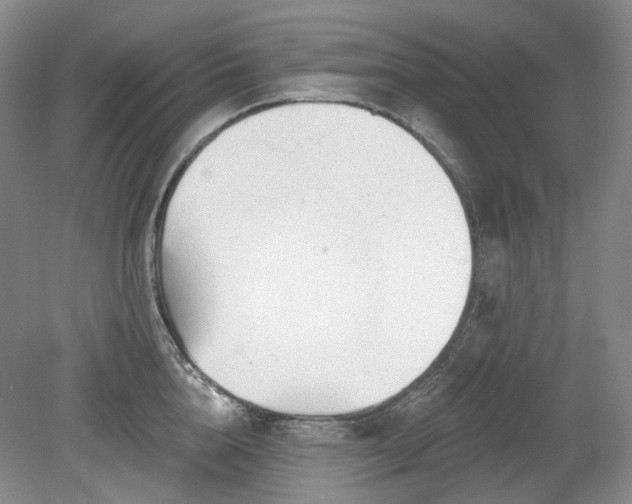 X0000079580856200612081533