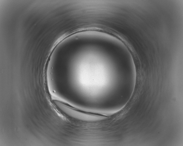 X0000079580858200612081533