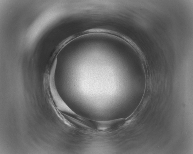 X0000079580862200612081533